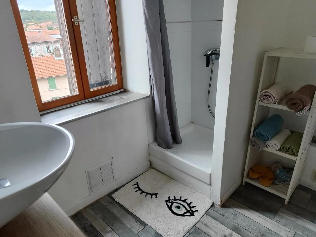 Апартаменты Appartement Centre Ville Carmaux
