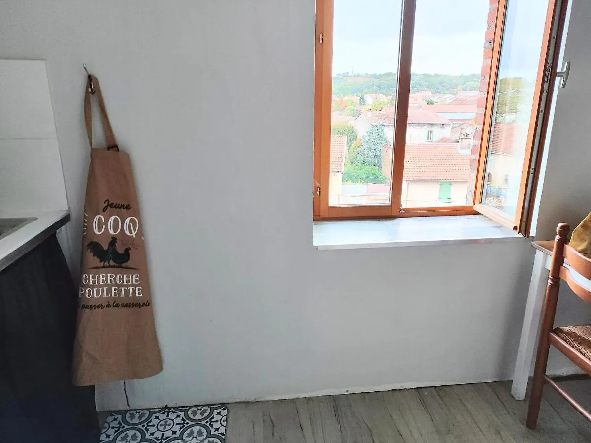 Appartement Centre Ville Carmaux Апартаменты
